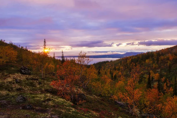 Norra Ryssland Khibiny Berg Höst Fjällsjö Och Skog Murmanskregionen Fotografi — Stockfoto