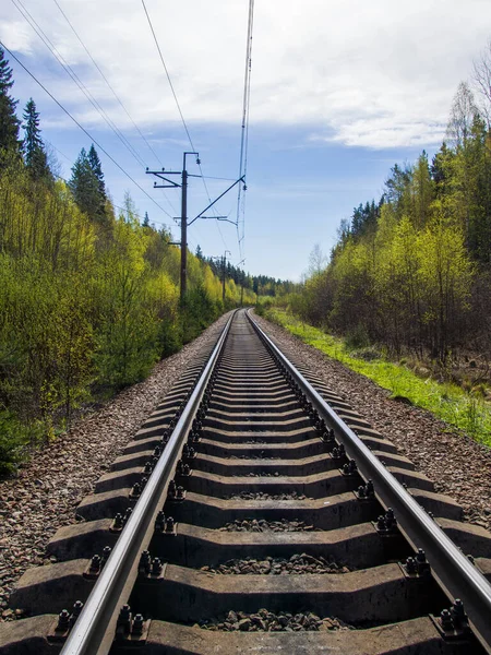 Orman Kuşağında Tek Bir Tren Yolu Demiryolu Olan Endüstriyel Bir — Stok fotoğraf