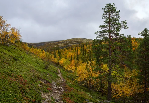 Vägen Bergssluttningen Hösten Khibiny Kolahalvön Ryssland Fotografi — Stockfoto