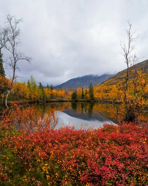 구름낀 날씨에는 산등성이에 가을의 툰드라 이루고 있습니다 북극의 산맥입니다 Photo — 스톡 사진