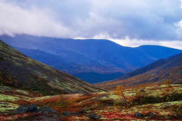 Φθινόπωρο Πολύχρωμο Τούνδρα Στο Φόντο Βουνοκορφές Συννεφιασμένο Καιρό Ορεινό Τοπίο — Φωτογραφία Αρχείου