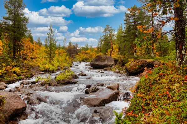 Floden Khibiny Bergen Hösten Höstlandskap — Stockfoto