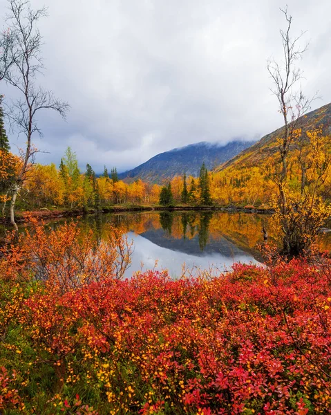Hösten färgglada tundra på bakgrunden berg toppar i molnigt väder. Bergslandskap i Kolahalvön, Arktis, Khibinybergen. — Stockfoto