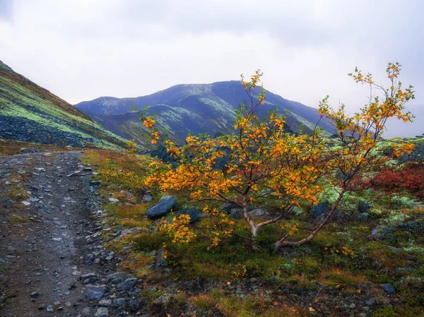 Χωματόδρομος με βουνά στο βάθος. Φθινόπωρο βουνά Khibiny — Φωτογραφία Αρχείου