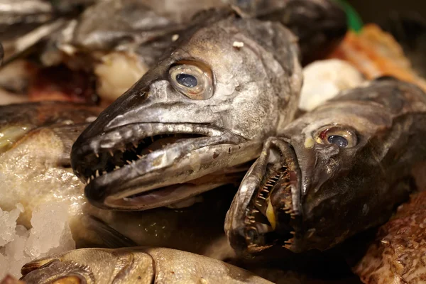 Sea food. Fish heads. — Stock Photo, Image