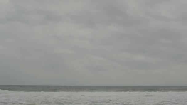 灰色海边γκρι ακροθαλασσιά — 图库视频影像