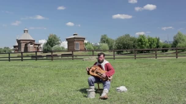 Quell'uomo sta giocando col salterio. — Video Stock