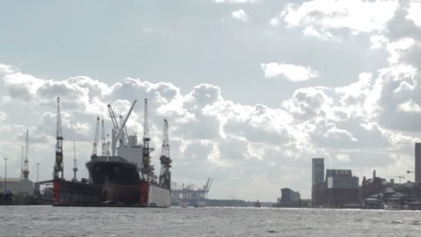 Navire cargo dans le port de Hambourg . — Video