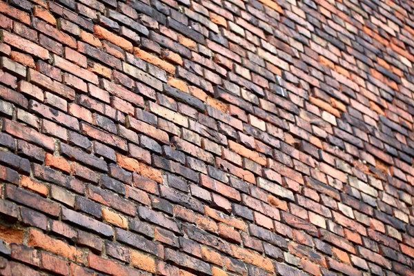 Perspectiva de pared de ladrillo . —  Fotos de Stock