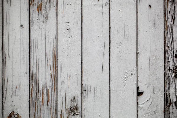 Сіра дерев'яна стіна. Макро постріл . — стокове фото