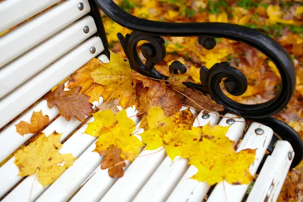 Yellow maple leaf on the bench. — Stock Photo, Image