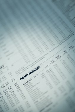 Finansal gazete makalesinde.