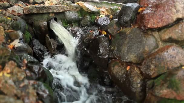 Vatten rinner från ett rör i stadsparken. — Stockvideo