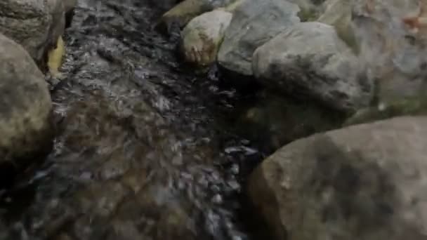 El agua fluye entre las piedras del parque de la ciudad . — Vídeos de Stock