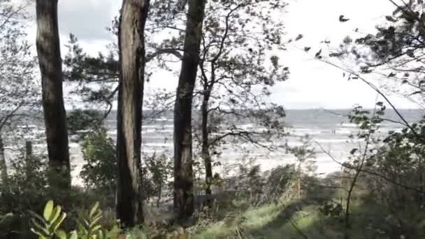 Viento calamitoso en la orilla del mar Báltico . — Vídeos de Stock
