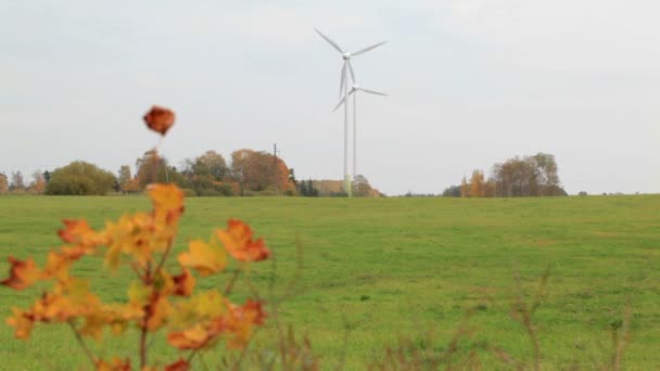 Två vindkraftverk i fältet. — Stockvideo