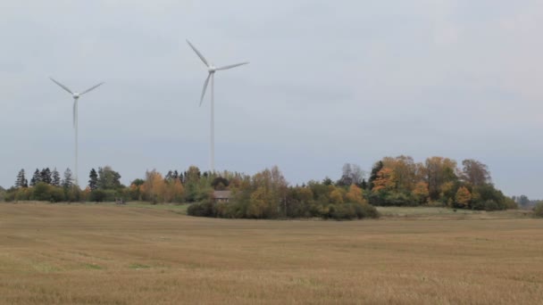 Grüne Energie. — Stockvideo