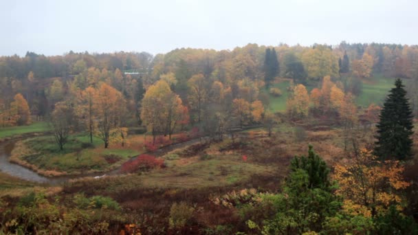 Flygfoto över hösten skogs- och svängda i toila, Estland — Stockvideo