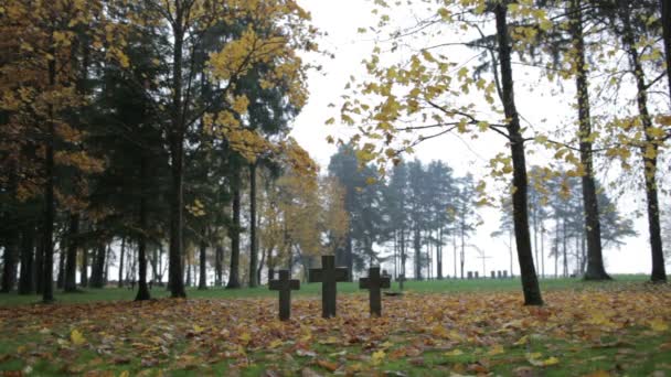 Três cruzes de lápides. Cemitério de soldados alemães em Toila, Estónia. Outono . — Vídeo de Stock