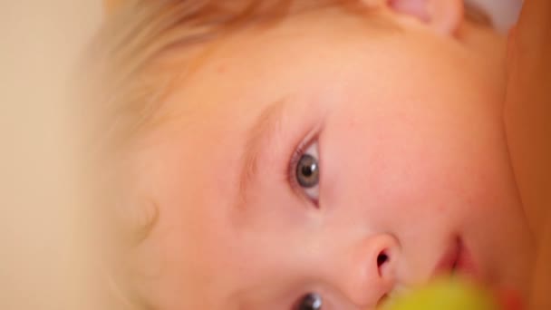 Little boy watching a film lying in the playpen. Closeup — Stock Video