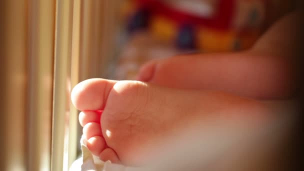 Baby's foot. Closeup. Sunlight — Stock Video