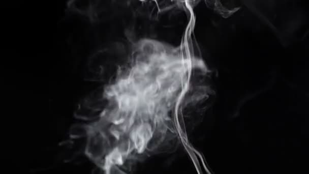 Καπνός σε μαύρο φόντο — Αρχείο Βίντεο