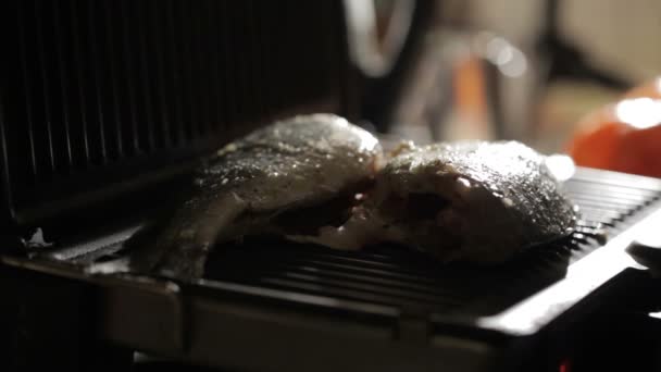 Closing the grill with fish — Stock Video