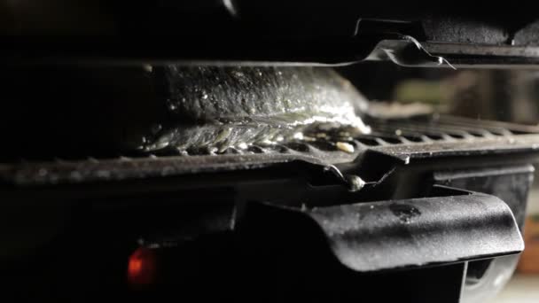 Fish cooking in the grill. Fat droplets. Macro shot — Stock Video