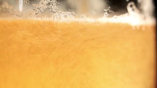 Пиво наливается в стекло — стоковое видео