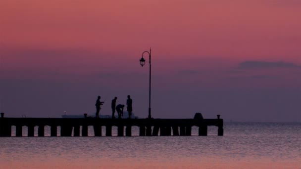 Des gens debout silhouettes contre un ciel rose sur une jetée — Video