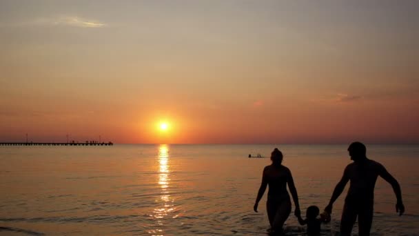 Joven familia de tres en la playa bajo una colorida puesta de sol caminando — Vídeo de stock