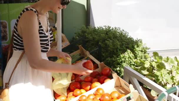 Junge Frau kauft auf einem Freiluftmarkt frisches Gemüse ein — Stockvideo