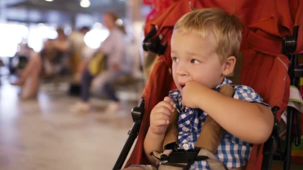 Young boy sitting in a child trolley in an airport — Stock Video