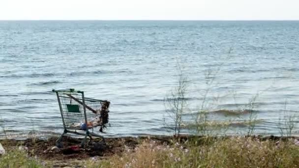 Amplio plano de carrito de compras de metal abandonado en la playa de pie en el borde del agua — Vídeo de stock