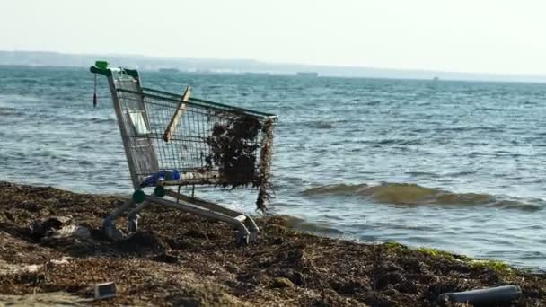 Abandoned metal shopping trolley on the beach — Stock Video