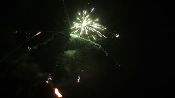 Echte vuurwerk op de achtergrond van donkere sk — Stockvideo