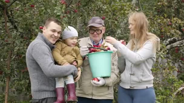 Familie uit het verzamelen van appels in de boomgaard — Stockvideo