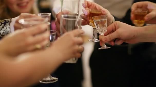 一群人举行的一个庆典敬酒 — 图库视频影像