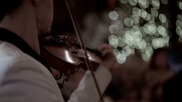 Человек, играющий на скрипке — стоковое видео