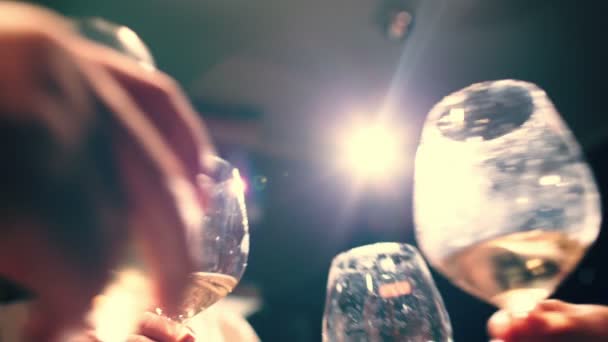 La gente tosta e beve vino — Video Stock