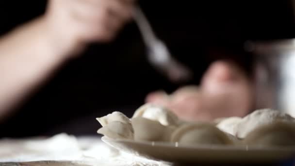 Making Dumplings — Stock Video