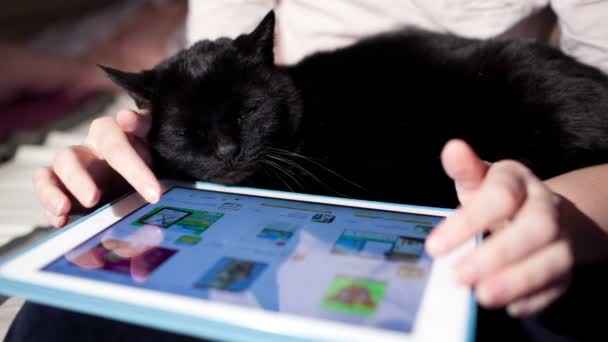 Woman with Cat Using Touchpad — Stock Video