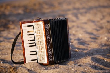 Accordian kumlu bir plaj üzerinde
