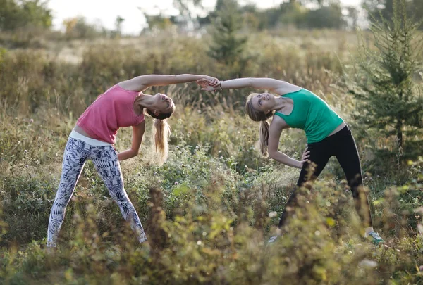 Two supple young women working out together — Stock Photo, Image