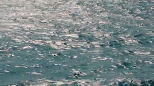 Surface de l'eau éclairée par le soleil brillant — Video