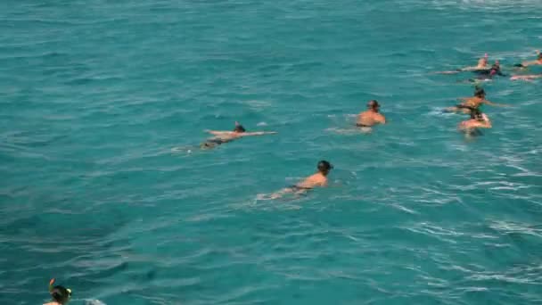 넓은 바다에서 수영 하는 사람들의 그룹 — 비디오