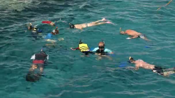 Οι άνθρωποι κολυμπούν στη θάλασσα — Αρχείο Βίντεο