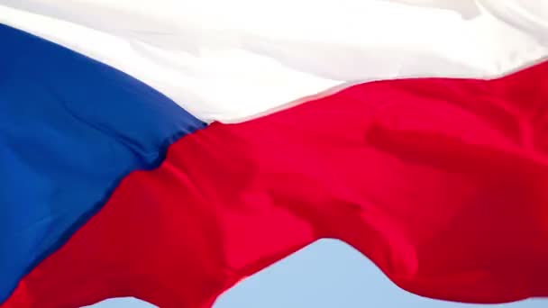 Bandera Republiki Czeskiej — Wideo stockowe