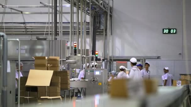 Personas que trabajan en la fábrica — Vídeo de stock