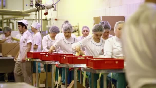 Trabajadores ocupados en la fábrica — Vídeo de stock